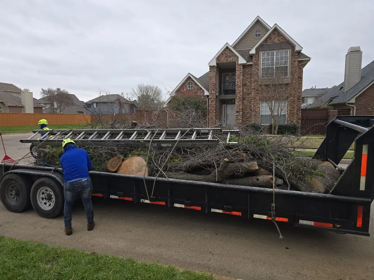 Expert Tree Removal with proper safety equipment in Leesville